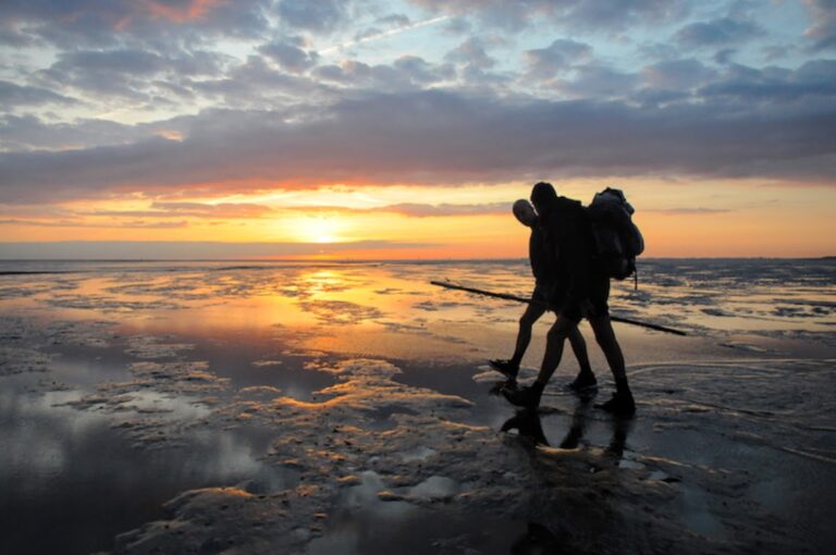 Mudwalk guides in the Dutch Waddenzee