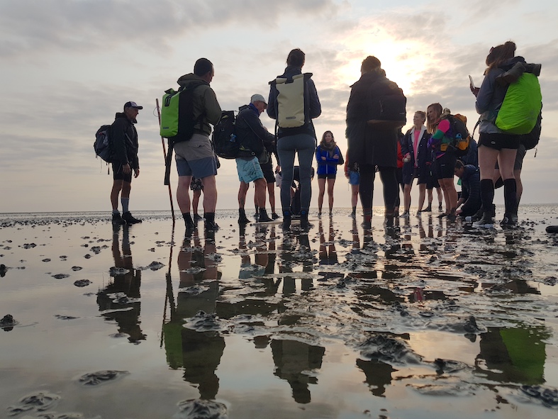 People on mudwalk trip in Dutch Wadden Zee